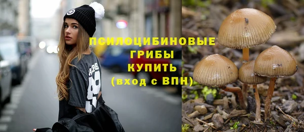 хмурый Армянск