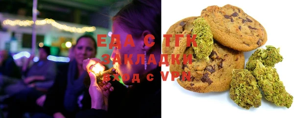 шишки Арсеньев