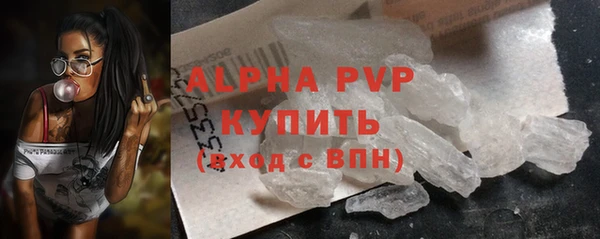 шишки Арсеньев
