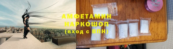 шишки Арсеньев