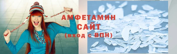 шишки Арсеньев
