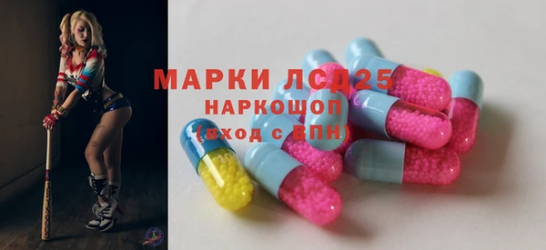 шишки Арсеньев