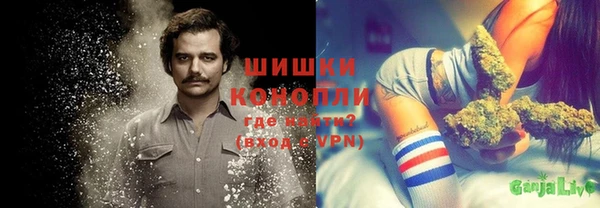 шишки Арсеньев