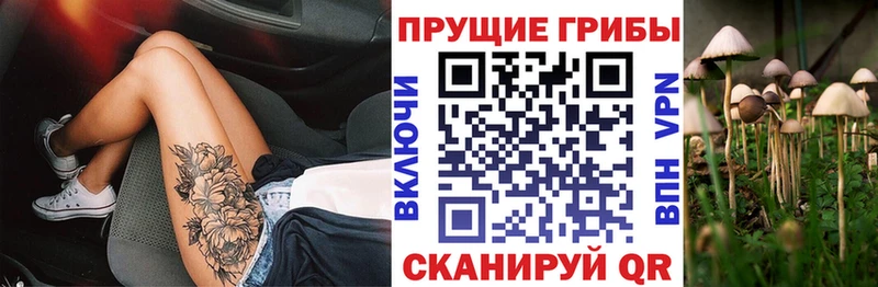 купить   Михайлов  ОМГ ОМГ ТОР  Галлюциногенные грибы мицелий 